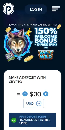 Punt Casino South Africa mobile app
